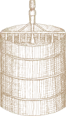 jj